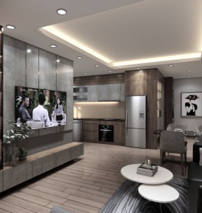 Thiết kế nội thất căn hộ chung cư Richstar Tân Phú